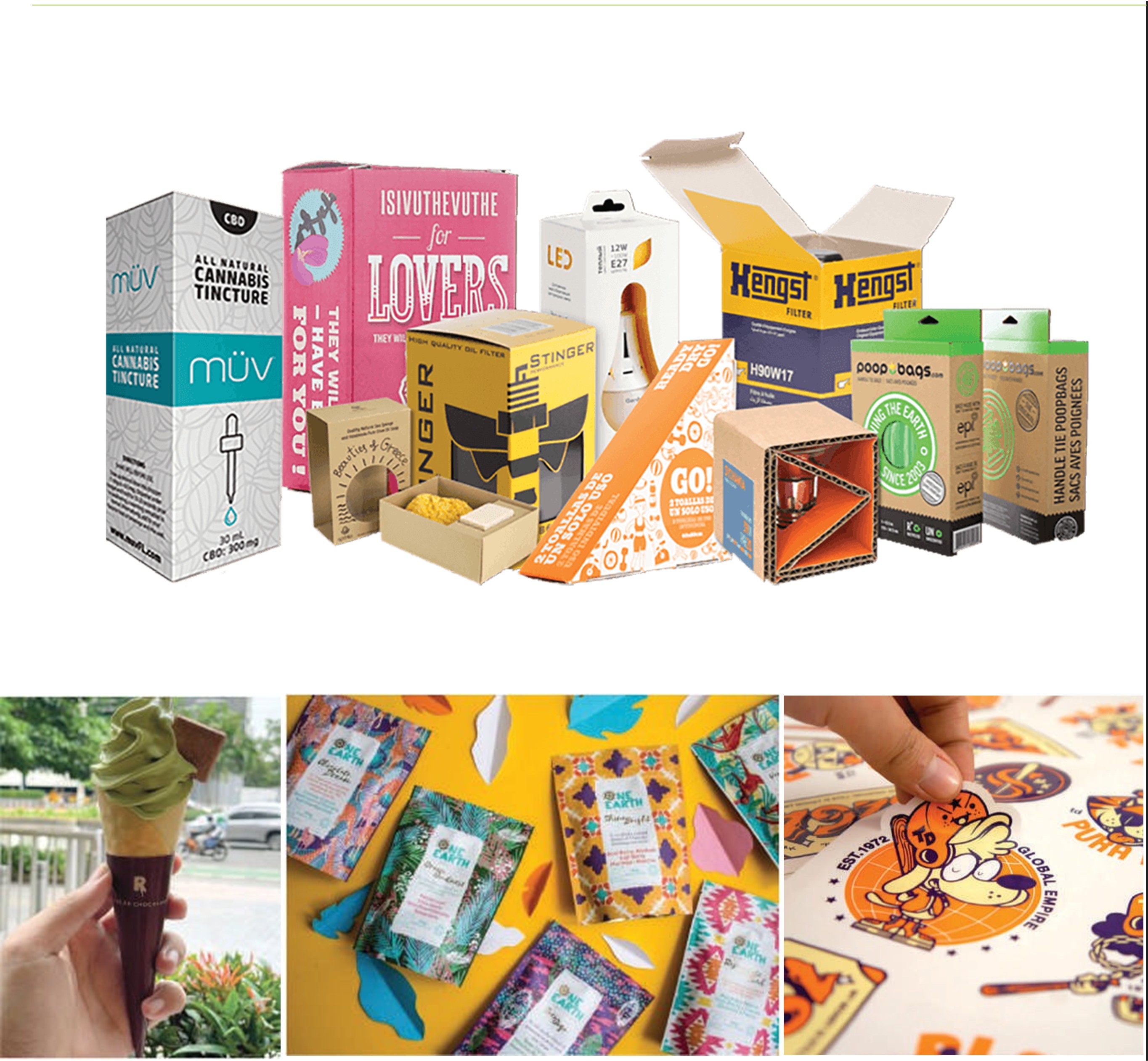 Packaging & Hard Box